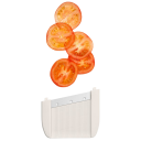 00010214_55b76bcf01d24c_600x600.png Thumb