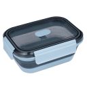 6069-1_rs7701-00240582-frischhaltebox-silikon-faltbar-frozen-blue-2-01.jpg Thumb