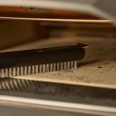 1772706950-newbrushshort_closeup.jpg Thumb