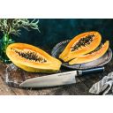 1773221164-mo-v3.jpg Thumb