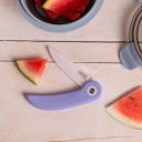 1785311880-rs8170_lurch-picknickmesser-light-lavender-10382-01-w.jpg Thumb