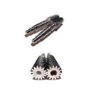 angeljuicer-4_8500.jpg Thumb