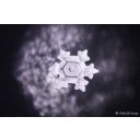 krystal_viahuman.jpg Thumb