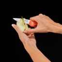 00010326_45ae070ba9b75b_600x600.jpg Thumb