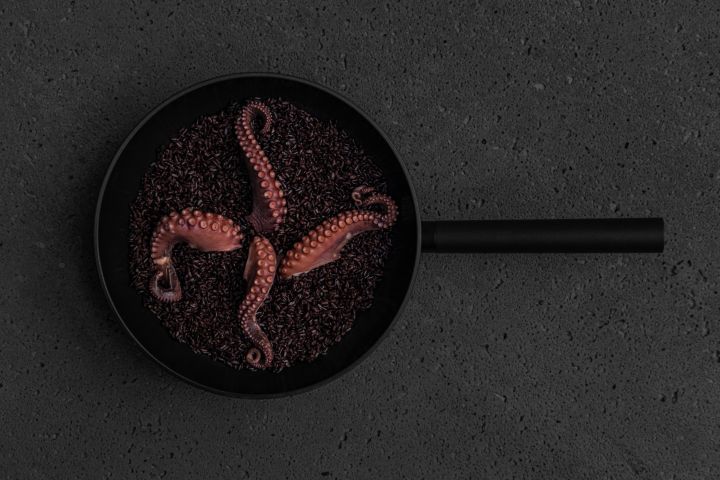 5144-7_pulpo.jpg